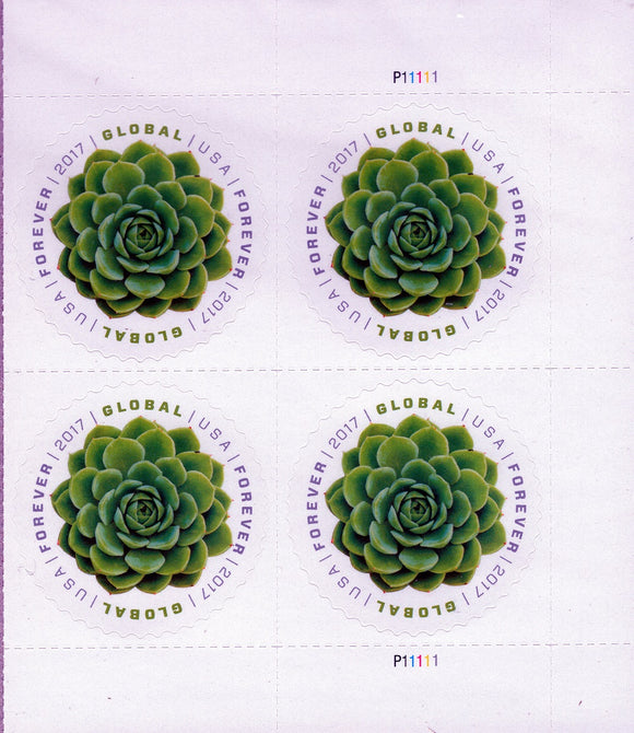 Circular Stamp: Green Succulent