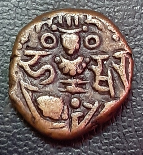 Didda Rani, Coin, Kashmir